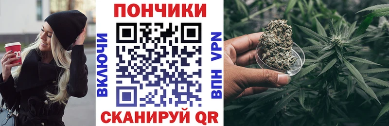 Бошки марихуана Amnesia Дальнегорск